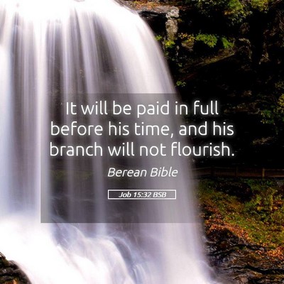 Picture 05 - Job 15:32 BSB - It will be paid in full before his time, and his - Bible Verse Picture