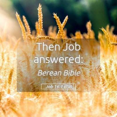 Picture 05 - Job 16:1 BSB - Then Job - Bible Verse Picture