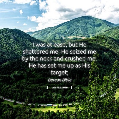 Picture 05 - Job 16:12 BSB - I was at ease, but He shattered me; He seized me - Bible Verse Picture
