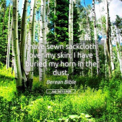 Picture 05 - Job 16:15 BSB - I have sewn sackcloth over my skin; I have buried - Bible Verse Picture
