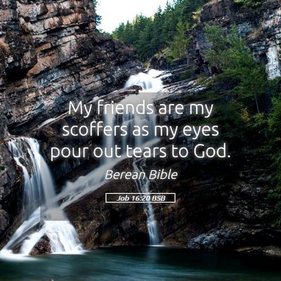 Picture 05 - Job 16:20 BSB - My friends are my scoffers as my eyes pour out - Bible Verse Picture