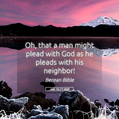 Picture 05 - Job 16:21 BSB - Oh, that a man might plead with God as he pleads - Bible Verse Picture