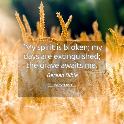 Picture 05 - Job 17:1 BSB - “My spirit is broken; my days are extinguished; - Bible Verse Picture