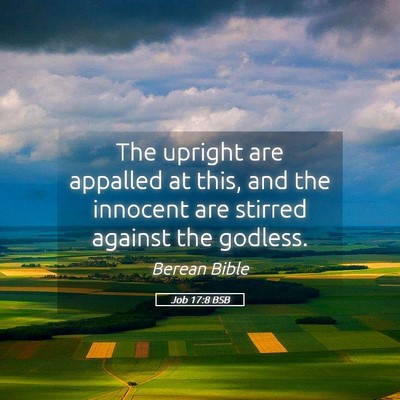 Picture 05 - Job 17:8 BSB - The upright are appalled at this, and the - Bible Verse Picture