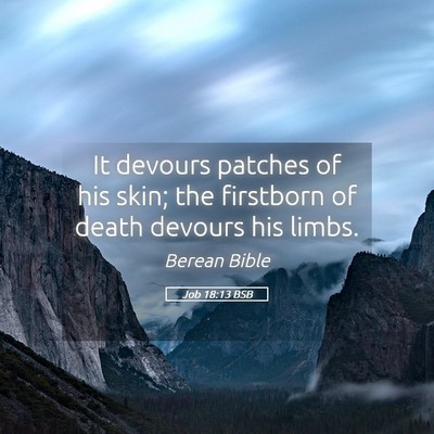 Picture 05 - Job 18:13 BSB - It devours patches of his skin; the firstborn of - Bible Verse Picture