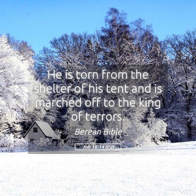 Picture 05 - Job 18:14 BSB - He is torn from the shelter of his tent and is - Bible Verse Picture