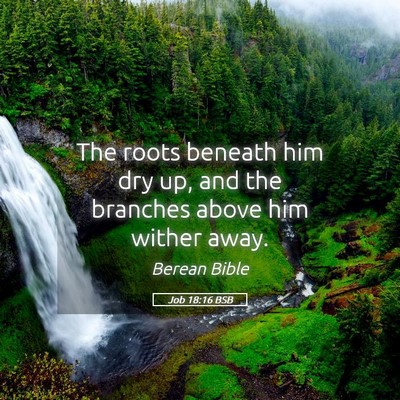 Picture 05 - Job 18:16 BSB - The roots beneath him dry up, and the branches - Bible Verse Picture