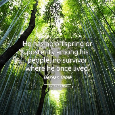 Picture 05 - Job 18:19 BSB - He has no offspring or posterity among his - Bible Verse Picture