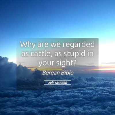 Picture 05 - Job 18:3 BSB - Why are we regarded as cattle, as stupid in your - Bible Verse Picture