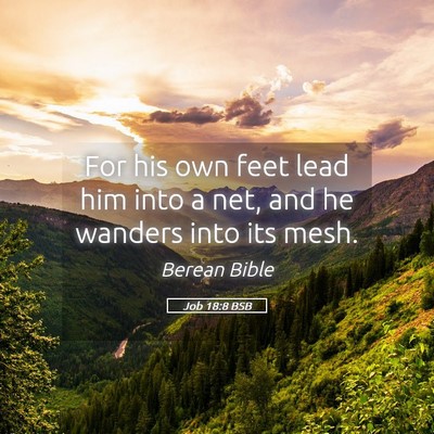 Picture 05 - Job 18:8 BSB - For his own feet lead him into a net, and he - Bible Verse Picture