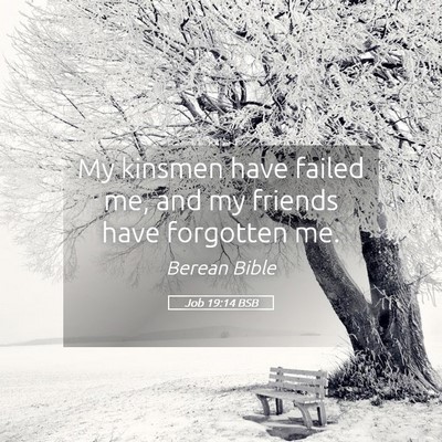 Picture 05 - Job 19:14 BSB - My kinsmen have failed me, and my friends have - Bible Verse Picture