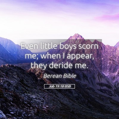 Picture 05 - Job 19:18 BSB - Even little boys scorn me; when I appear, they - Bible Verse Picture
