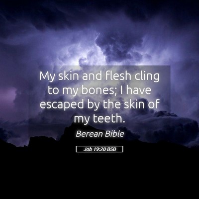 Picture 05 - Job 19:20 BSB - My skin and flesh cling to my bones; I have - Bible Verse Picture