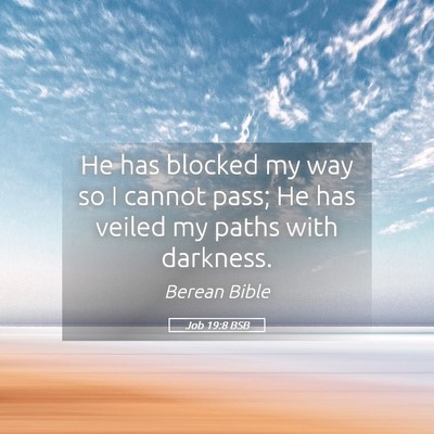 Picture 05 - Job 19:8 BSB - He has blocked my way so I cannot pass; He has - Bible Verse Picture
