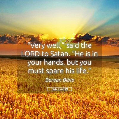 Picture 05 - Job 2:6 BSB - “Very well,” said the LORD to Satan. “He is - Bible Verse Picture
