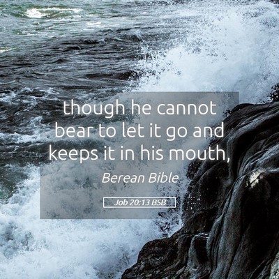 Picture 05 - Job 20:13 BSB - though he cannot bear to let it go and keeps it - Bible Verse Picture