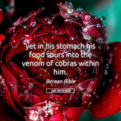 Picture 05 - Job 20:14 BSB - yet in his stomach his food sours into the venom - Bible Verse Picture