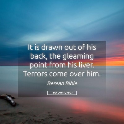 Picture 05 - Job 20:25 BSB - It is drawn out of his back, the gleaming point - Bible Verse Picture