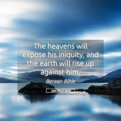 Picture 05 - Job 20:27 BSB - The heavens will expose his iniquity, and the - Bible Verse Picture