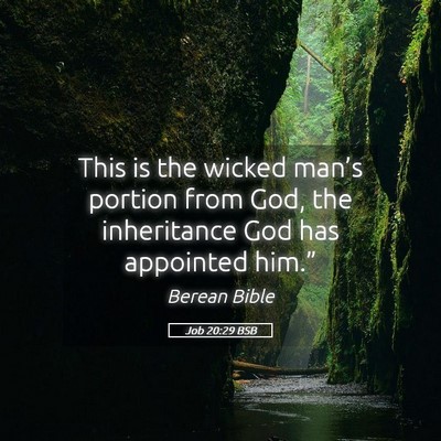 Picture 05 - Job 20:29 BSB - This is the wicked man’s portion from God, the - Bible Verse Picture