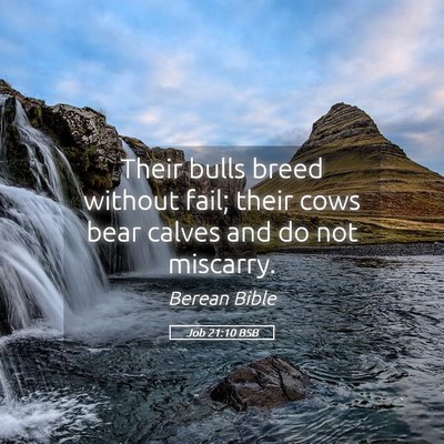 Picture 05 - Job 21:10 BSB - Their bulls breed without fail; their cows bear - Bible Verse Picture