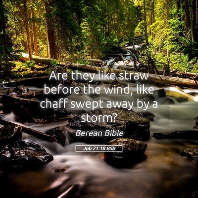 Picture 05 - Job 21:18 BSB - Are they like straw before the wind, like chaff - Bible Verse Picture