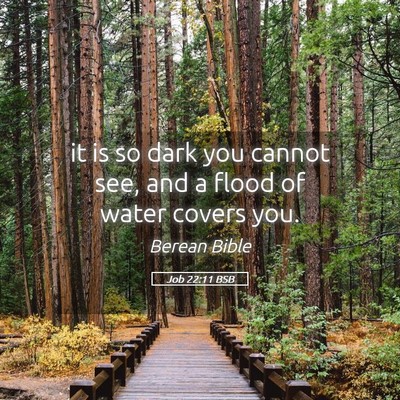 Picture 05 - Job 22:11 BSB - it is so dark you cannot see, and a flood of - Bible Verse Picture