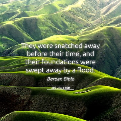 Picture 05 - Job 22:16 BSB - They were snatched away before their time, and - Bible Verse Picture