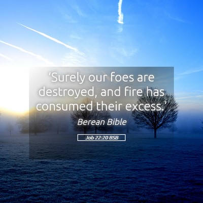 Picture 05 - Job 22:20 BSB - ‘Surely our foes are destroyed, and fire has - Bible Verse Picture