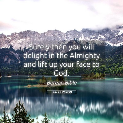 Picture 05 - Job 22:26 BSB - Surely then you will delight in the Almighty and - Bible Verse Picture