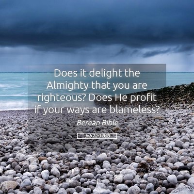 Picture 05 - Job 22:3 BSB - Does it delight the Almighty that you are - Bible Verse Picture