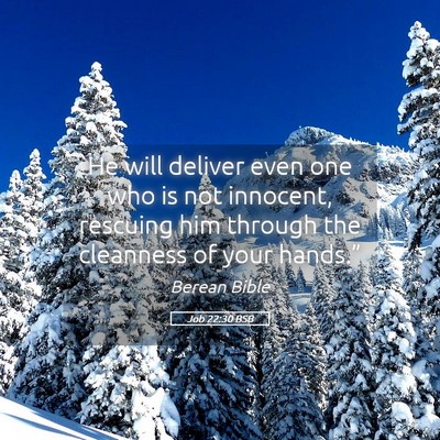 Picture 05 - Job 22:30 BSB - He will deliver even one who is not innocent, - Bible Verse Picture