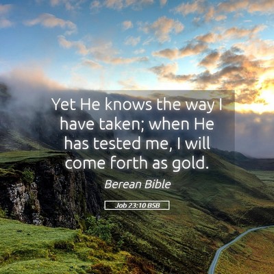 Picture 05 - Job 23:10 BSB - Yet He knows the way I have taken; when He has - Bible Verse Picture