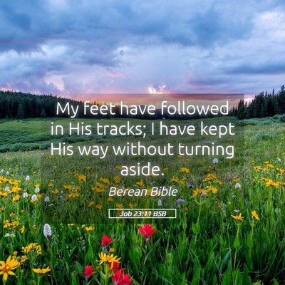 Picture 05 - Job 23:11 BSB - My feet have followed in His tracks; I have kept - Bible Verse Picture