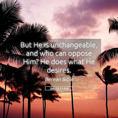 Picture 05 - Job 23:13 BSB - But He is unchangeable, and who can oppose Him? - Bible Verse Picture