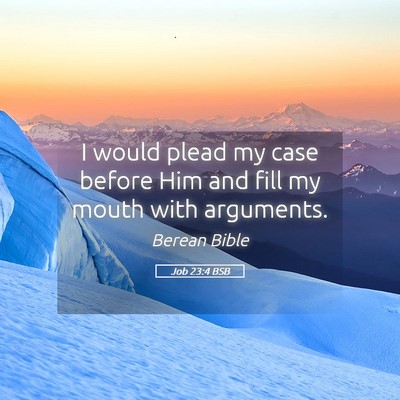 Picture 05 - Job 23:4 BSB - I would plead my case before Him and fill my - Bible Verse Picture