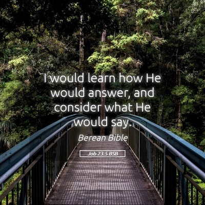 Picture 05 - Job 23:5 BSB - I would learn how He would answer, and consider - Bible Verse Picture