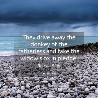 Picture 05 - Job 24:3 BSB - They drive away the donkey of the fatherless and - Bible Verse Picture