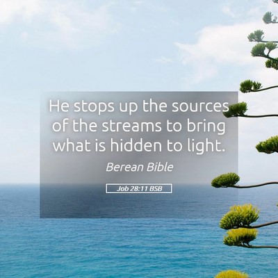 Picture 05 - Job 28:11 BSB - He stops up the sources of the streams to bring - Bible Verse Picture