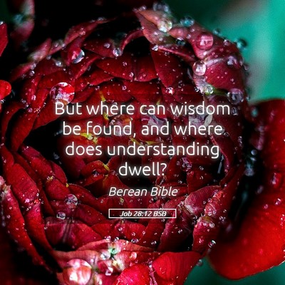 Picture 05 - Job 28:12 BSB - But where can wisdom be found, and where does - Bible Verse Picture