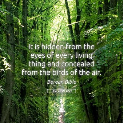Picture 05 - Job 28:21 BSB - It is hidden from the eyes of every living thing - Bible Verse Picture