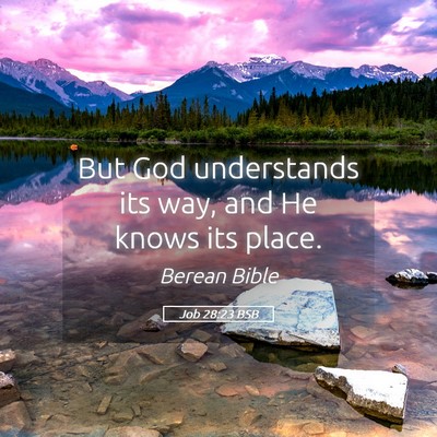 Picture 05 - Job 28:23 BSB - But God understands its way, and He knows its - Bible Verse Picture