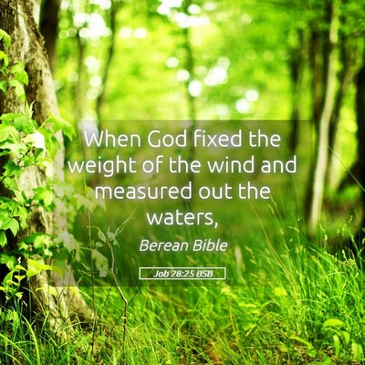 Picture 05 - Job 28:25 BSB - When God fixed the weight of the wind and - Bible Verse Picture