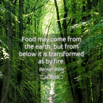 Picture 05 - Job 28:5 BSB - Food may come from the earth, but from below it - Bible Verse Picture