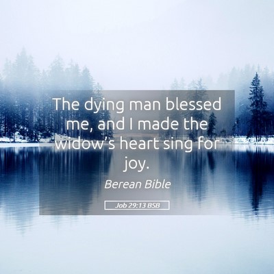 Picture 05 - Job 29:13 BSB - The dying man blessed me, and I made the - Bible Verse Picture
