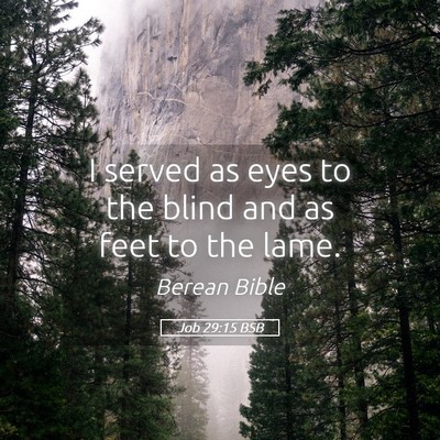 Picture 05 - Job 29:15 BSB - I served as eyes to the blind and as feet to the - Bible Verse Picture