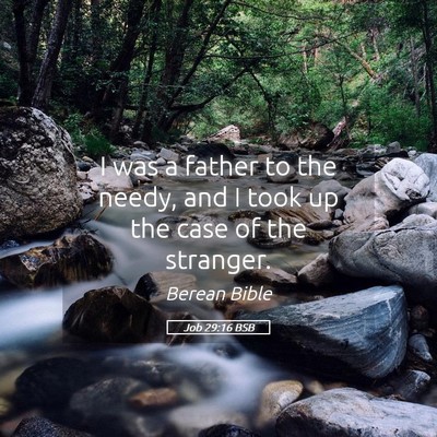 Picture 05 - Job 29:16 BSB - I was a father to the needy, and I took up the - Bible Verse Picture