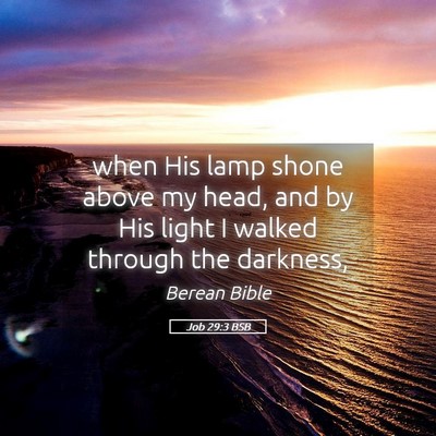 Picture 05 - Job 29:3 BSB - when His lamp shone above my head, and by His - Bible Verse Picture