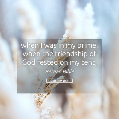 Picture 05 - Job 29:4 BSB - when I was in my prime, when the friendship of - Bible Verse Picture