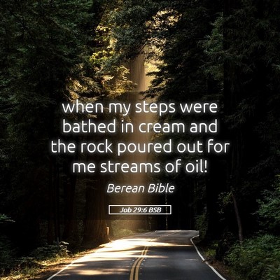 Picture 05 - Job 29:6 BSB - when my steps were bathed in cream and the rock - Bible Verse Picture